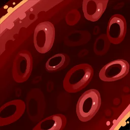 Leukocytes