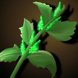Dodgy Herbs