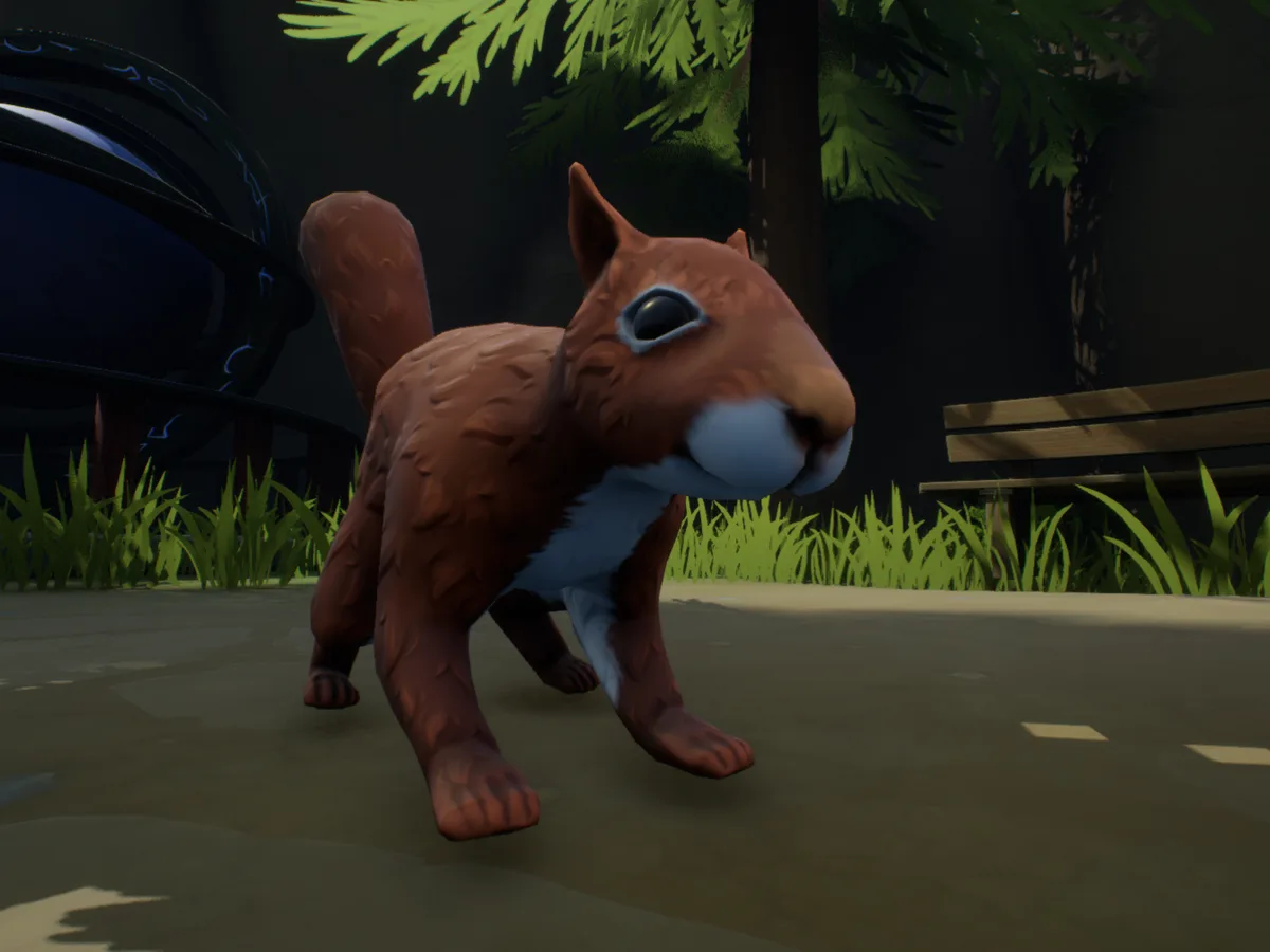Curious Critters