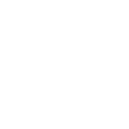 Witch